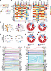Cell-cell communication between LCs and DRG sensory neurons.