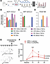High-multiplexing cytokine profile of LCs in RD and HFD.