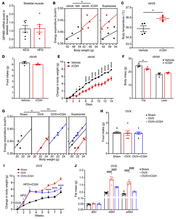 Impact of rCGH supplementation on metabolic parameters in ob/ob mice and...