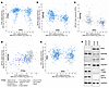 INPP4B mRNA is negatively correlated with T:E fusion independently of PTEN
