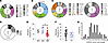 Gene usage, isotype distribution, and mutation frequencies among the 42 hum