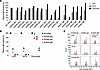 Anti-α-Gal mAbs interfere with polyclonal IgE binding of serum from patient