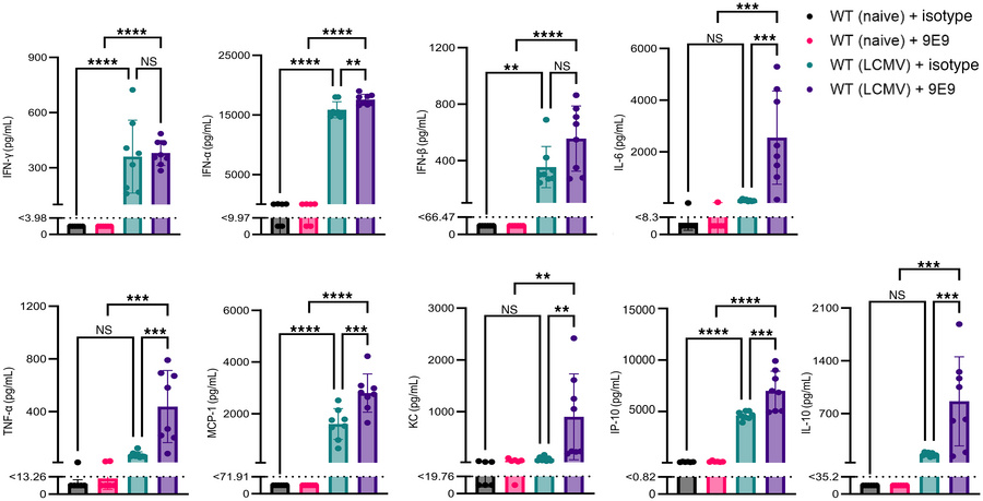 FcγRIV activation upon infection drives a robust systemic inflammatory r...