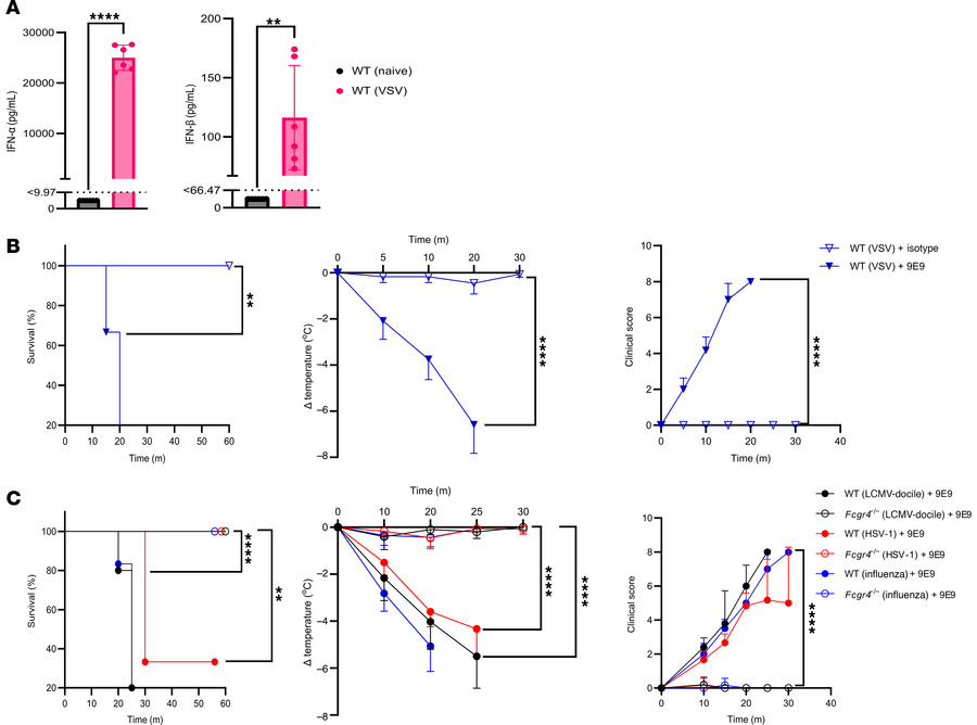 FcγRIV activation induces systemic anaphylaxis in VSV-, HSV-, and influe...