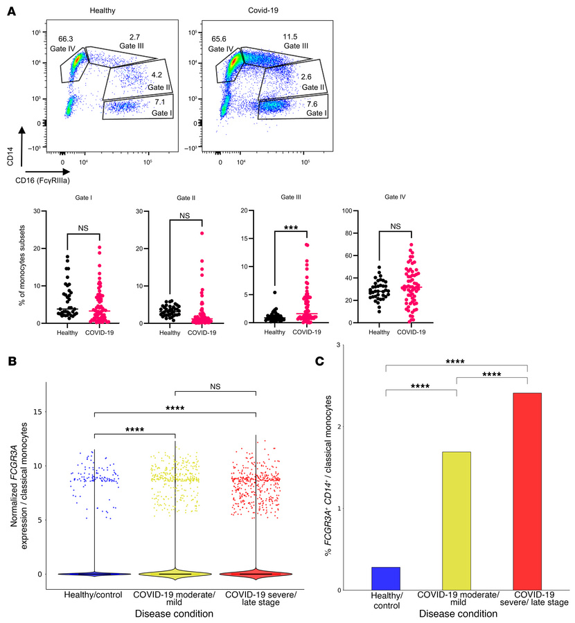 SARS-CoV-2 infection drives conserved upregulation of activatory FcγRs o...