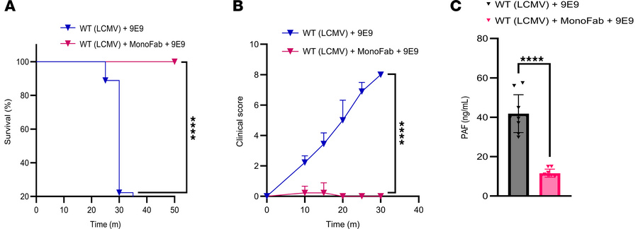 Prophylactic MonoFab administration prevents IgG-mediated anaphylaxis in...