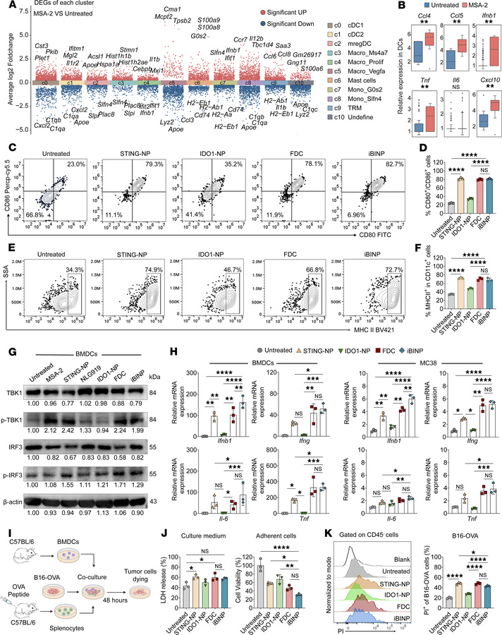 Combination therapy with STING agonist and IDO1 inhibitor improves antit...