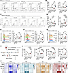 iBINP reshapes the tumor immune microenvironment by reducing Tregs to unlea