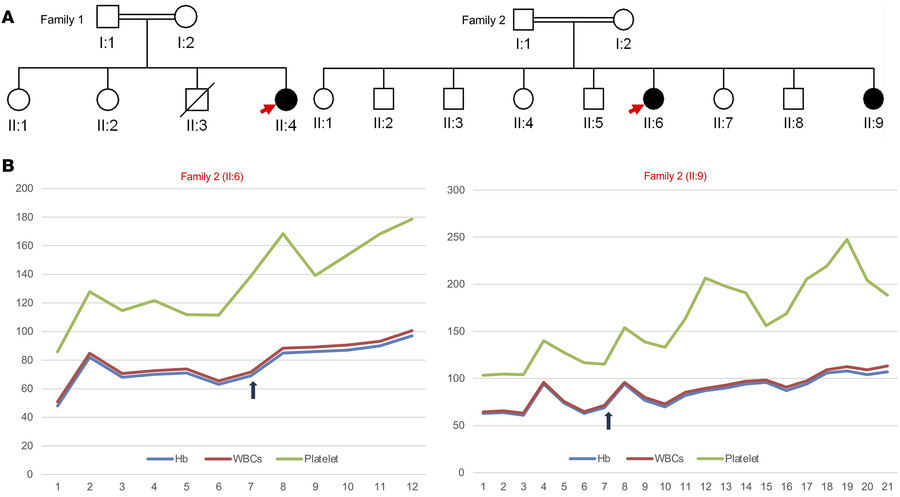 Response of OSM patients to eltrombopag.
(A) Pedigree of the families. (...