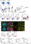 Cross-neutralization is associated with an expansion of the LN CD4+ T cell
