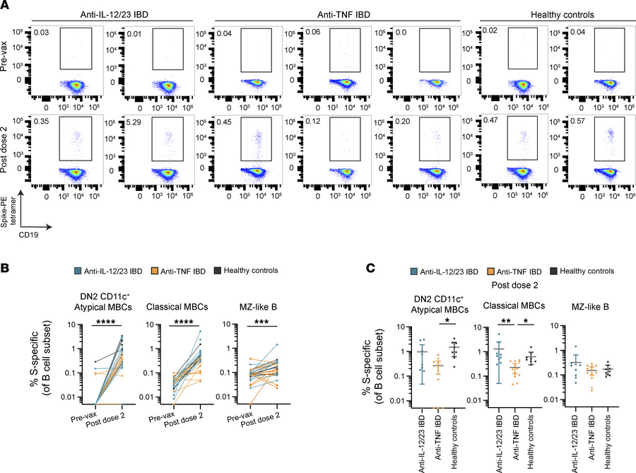 Reduced S-specific classical memory B cells in patients with IBD treated...