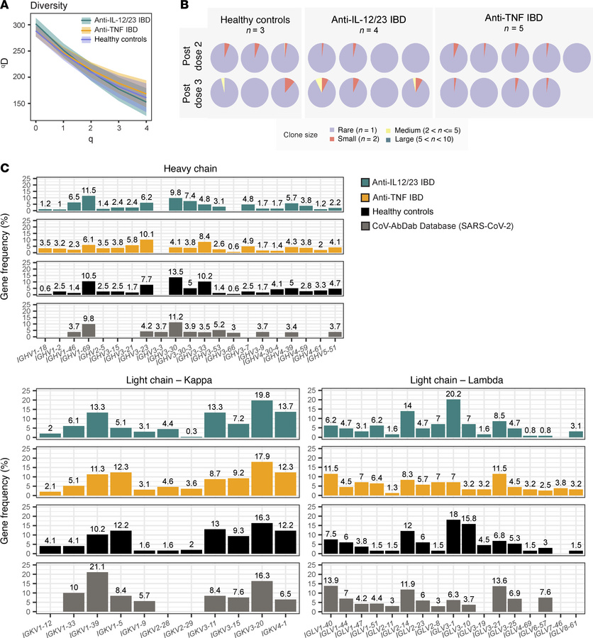 Biased BCR heavy and light chain variable gene usage in S-specific memor...