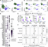 Transcriptomic analysis reveals altered proportions of S-specific memory B