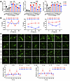 Copper levels display circadian oscillations specifically in GSCs.