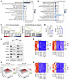 Fatty acid metabolism mediates downstream effects of ATP7A.