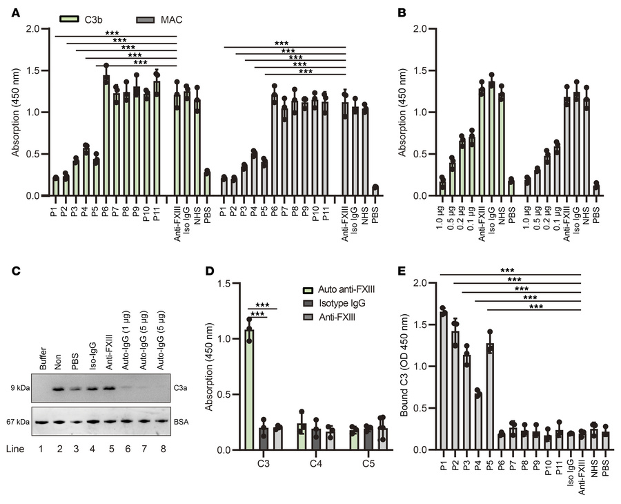 A combined FXIII-C3 autoantibody was identified in patients with autoimm...