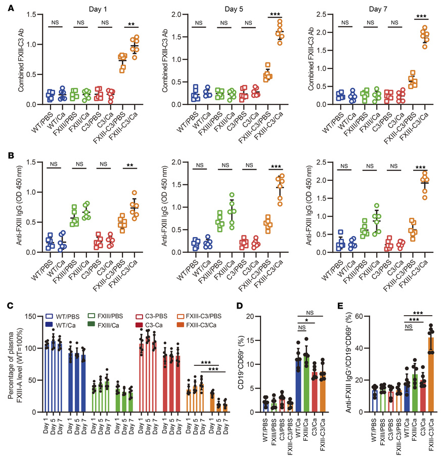 Pathogenic C. albicans infections further induced autoantibody generatio...