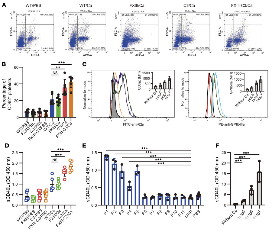 Pathogenic C. albicans infection triggered platelet activation and CD40L...