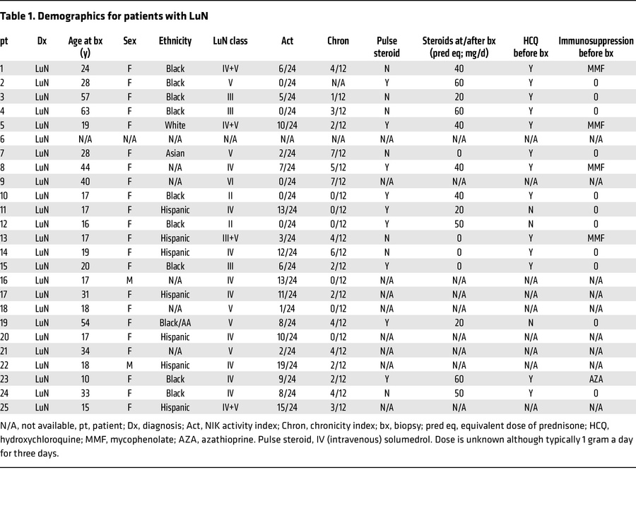Demographics for patients with LuN