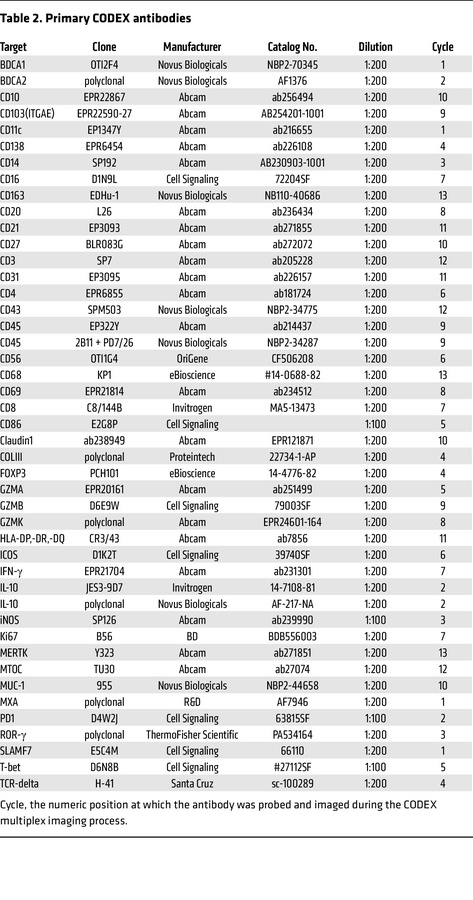 Primary CODEX antibodies