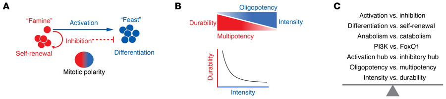 Immunity as duality of signaling, cell fate, and response dynamics.
(A) ...