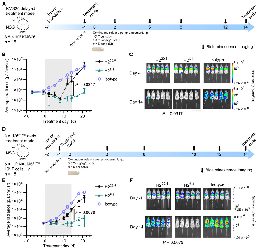 Higher-affinity H26.8 has improved tumor control in vivo.
(A) Delayed tr...
