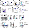 STAR activity decreases with increasing receptor affinity.