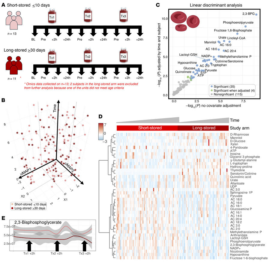Metabolic effect of transfusion on the recipients’ RBC metabolome.
(A)  ...