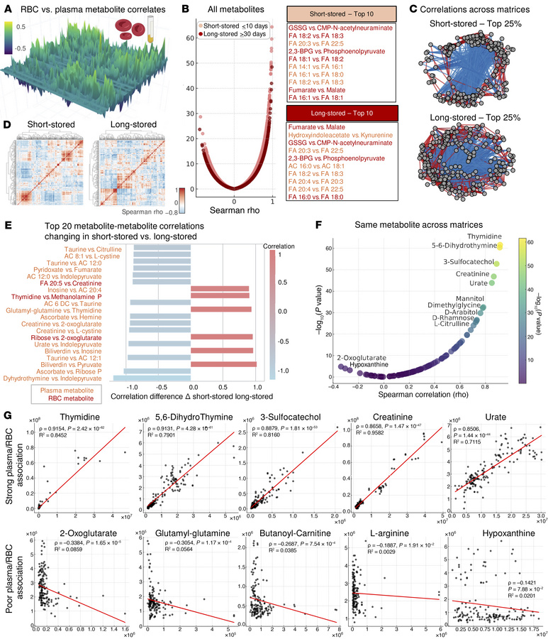 Correlation analysis of plasma versus RBC metabolic phenotypes after all...