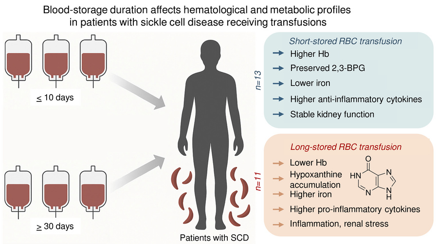 graphical abstract