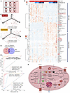 Blood units stored longer than 30 days are metabolically distinct from unit