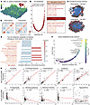 Correlation analysis of plasma versus RBC metabolic phenotypes after all tr