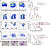 Conditional knockin of Cbfb-MYH11-ΔHABD in mice reveals a leukemia profile
