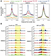 Leukemogenic CBFβ-SMMHC proteins enhance RUNX1 binding enrichment at transc