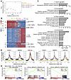 Leukemogenic CBFβ-SMMHC variants and RUNX1 directly regulate target genes,