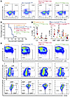 DNA binding by RUNX1 is essential for CBFβ-SMMHC–induced leukemia in mice.