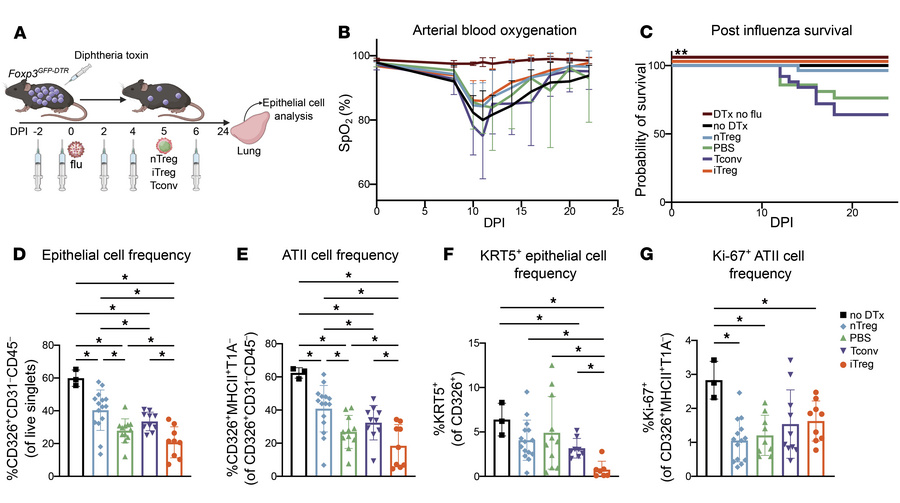 Adoptive transfer of iTregs promotes survival following viral pneumonia....