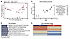 Loss of UHRF1 results in delayed transcriptional changes over the course of