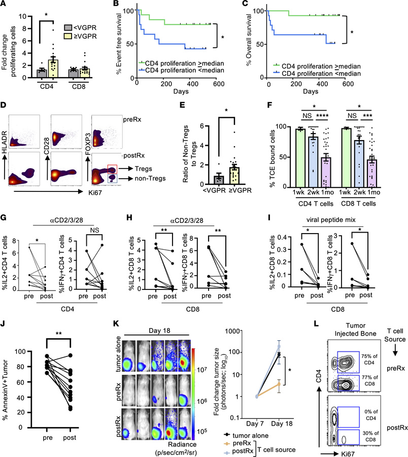 Early CD4+ T proliferation and chronic TCE engagement impact outcomes fo...