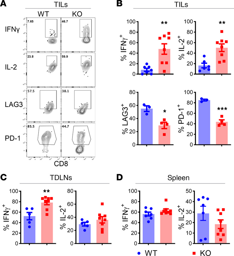 
Pim2 deficiency increases effector cytokines but decreases exhaustion f...