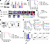 Targeting PIM2 increases human T cell antitumor response.