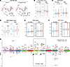 Disturbed NE homeostasis is revealed by single-cell computational analysis.