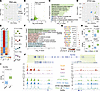 Cardiac radiation induces dynamic changes in gene expression and chromatin