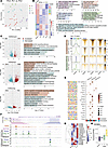 25 Gy IR alters the epigenetic landscape of hiPSC-CMs.
