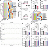 Epigenetic profiling reveals changes to repolarization and calcium handling