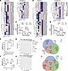 IR transcriptionally regulates mitochondrial physiology and OXPHOS.