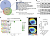 Cross-species comparison demonstrates conserved transcriptional pathways in