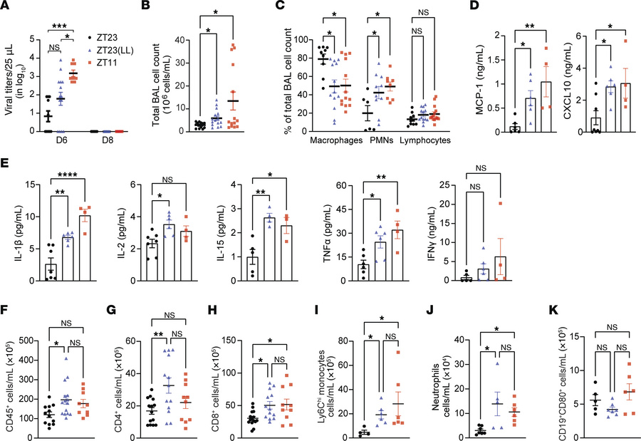 Exposure to constant light following IAV infection caused exaggerated in...