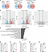 Transcriptomic analyses showed global immune activation in the ZT23(LL) and