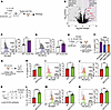 NFIL3 and MAF regulate IL-10 production via ICOS in ILC2s.